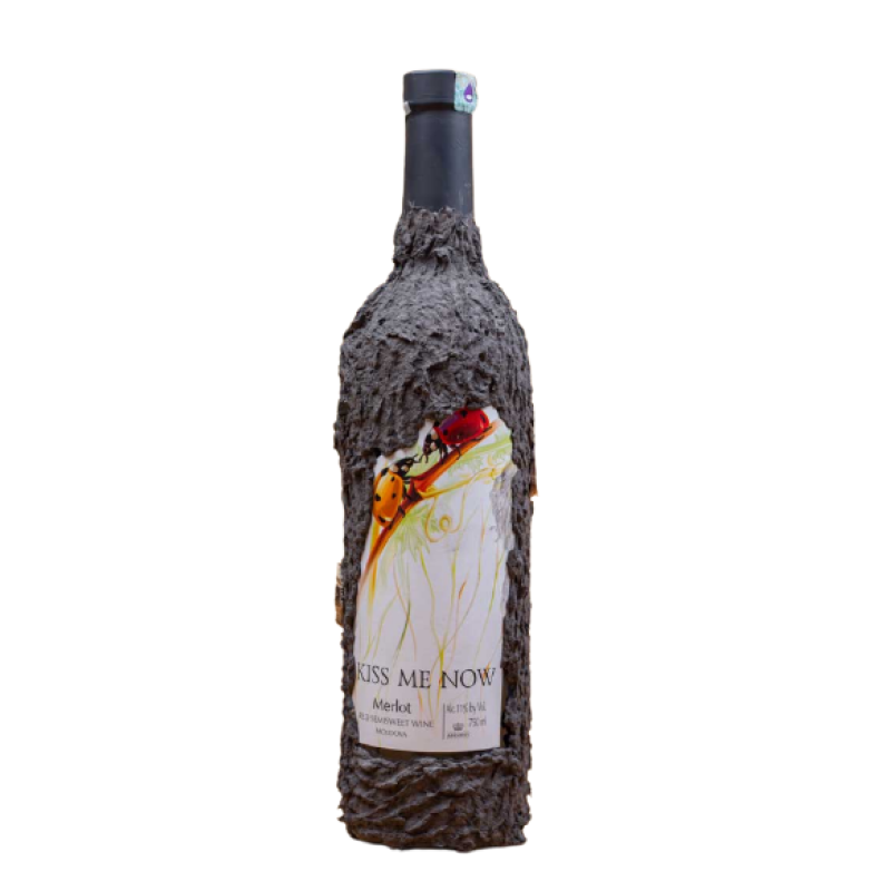 Asconi Kiss Me Now Merlot 750ml
